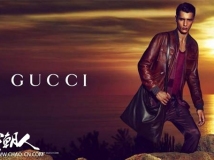 Gucci Cruise 2014Campaignͳ