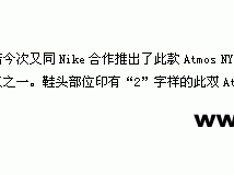 LYL־--- Atmos NYC x Nike Dunk
